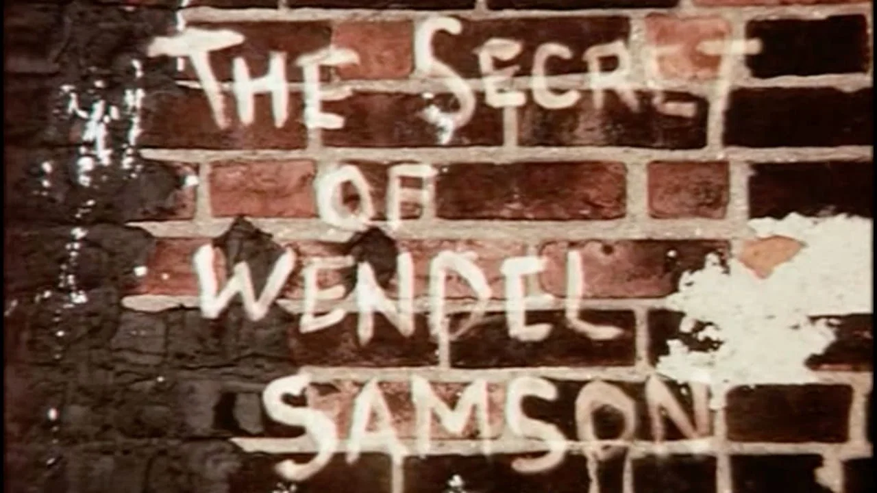 The Secret of Wendel Samson - 剧照