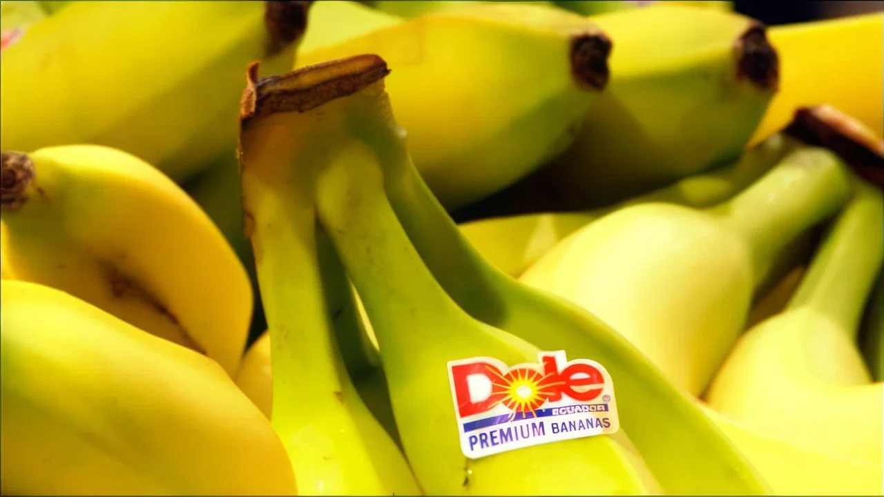 Big Boys Gone Bananas!* - 剧照
