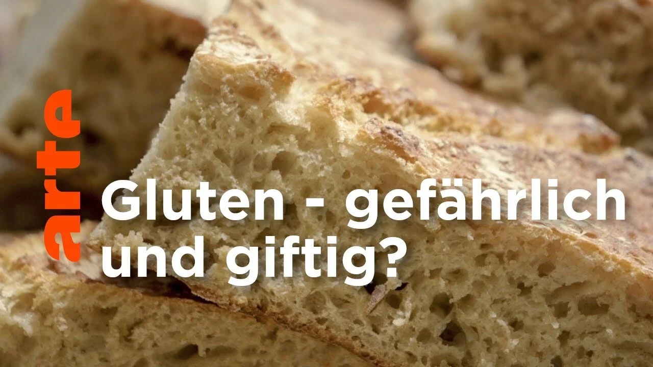 Gluten, l'ennemi public ? - 剧照