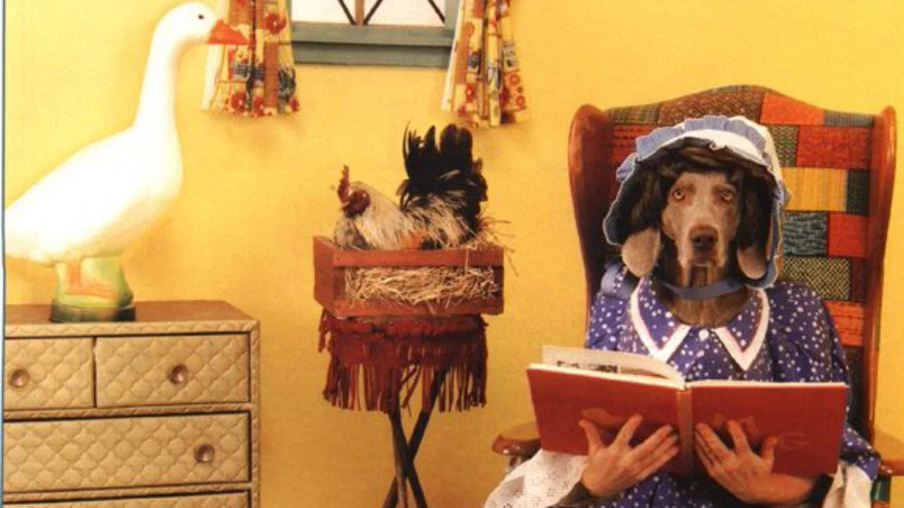 William Wegman's Mother Goose - 剧照