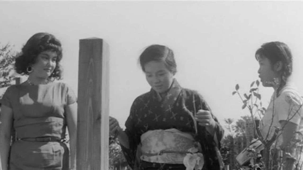 日本昆虫记 - 剧照