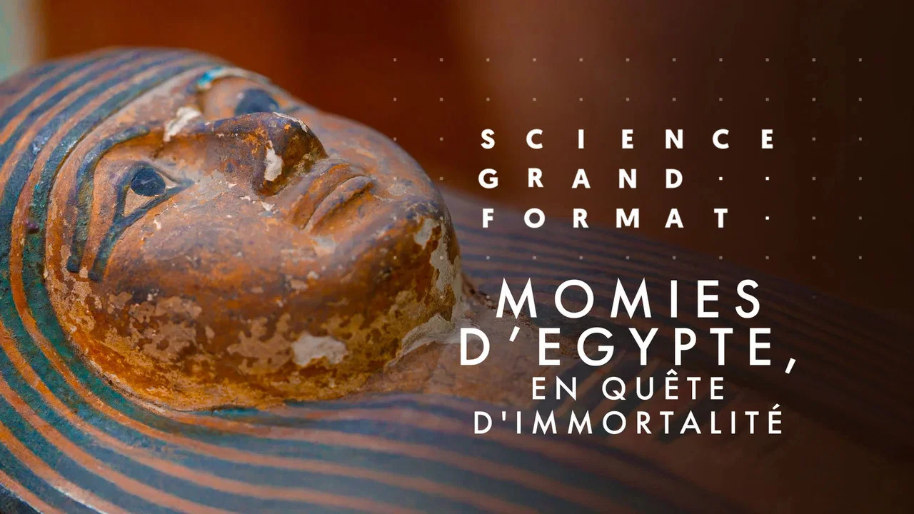 Momies d'&Eacute;gypte, en qu&ecirc;te d'immortalit&eacute; - 剧照