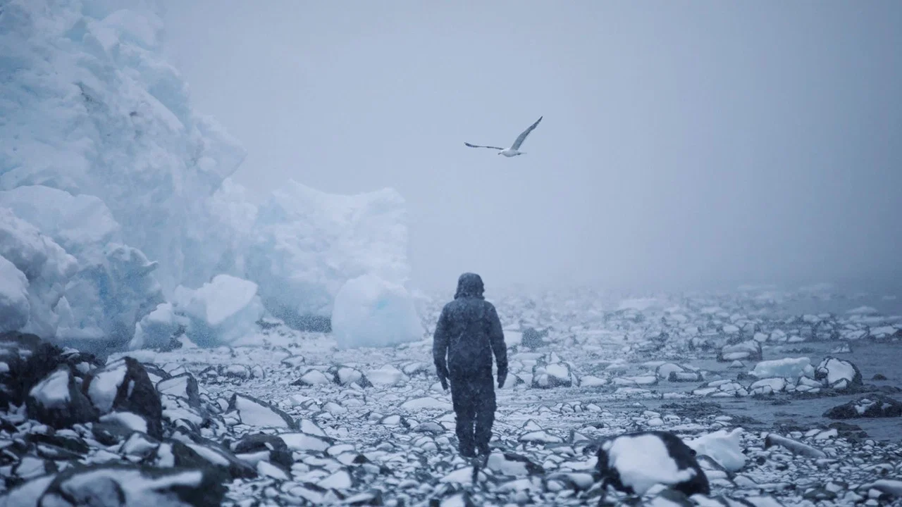 After Antarctica - 剧照