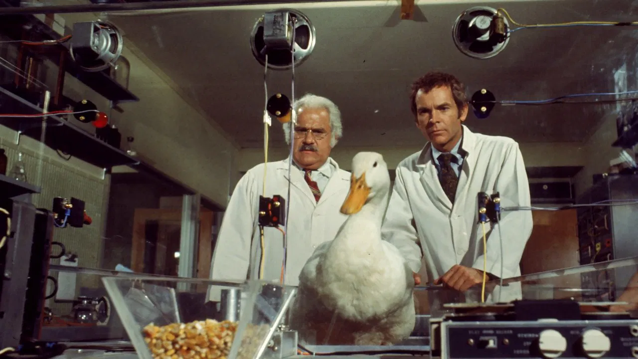 The Million Dollar Duck - 剧照