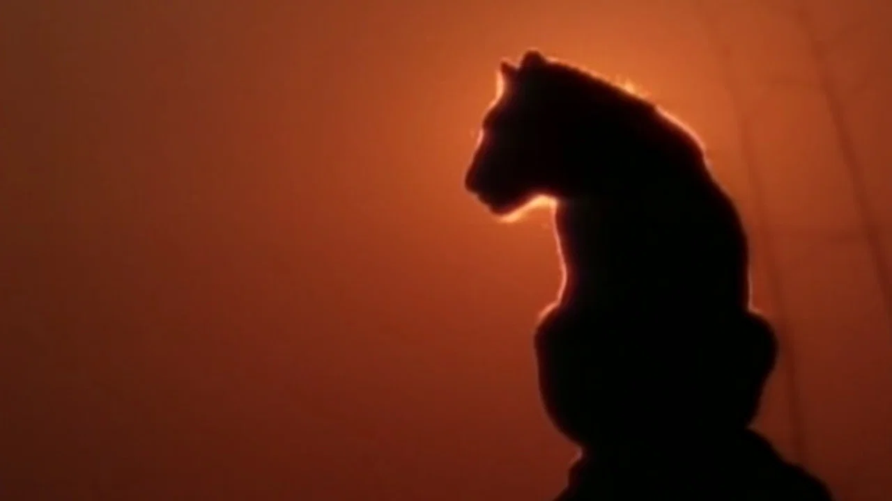 Lions Of Darkness - 剧照