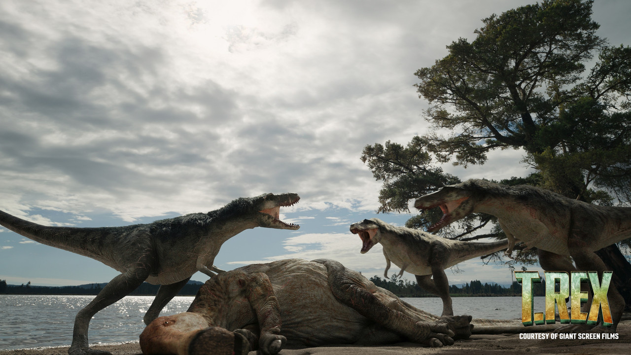 T. REX - 剧照