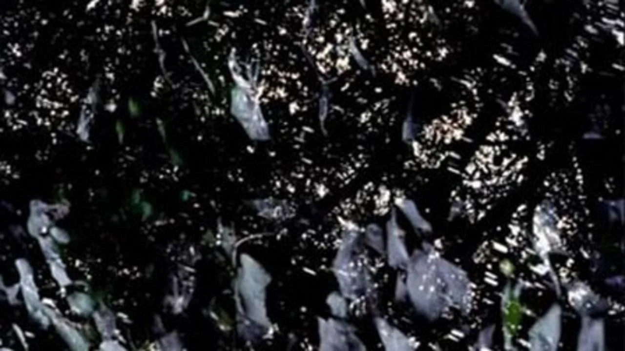 Elements of Nothing - 剧照