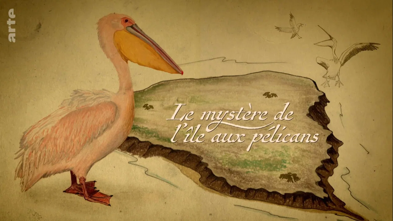 Die Pelikan-Insel - Geheimnis in Russlands Steppe - 剧照