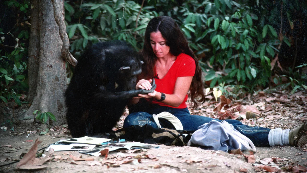 Lucy the Human Chimp - 剧照