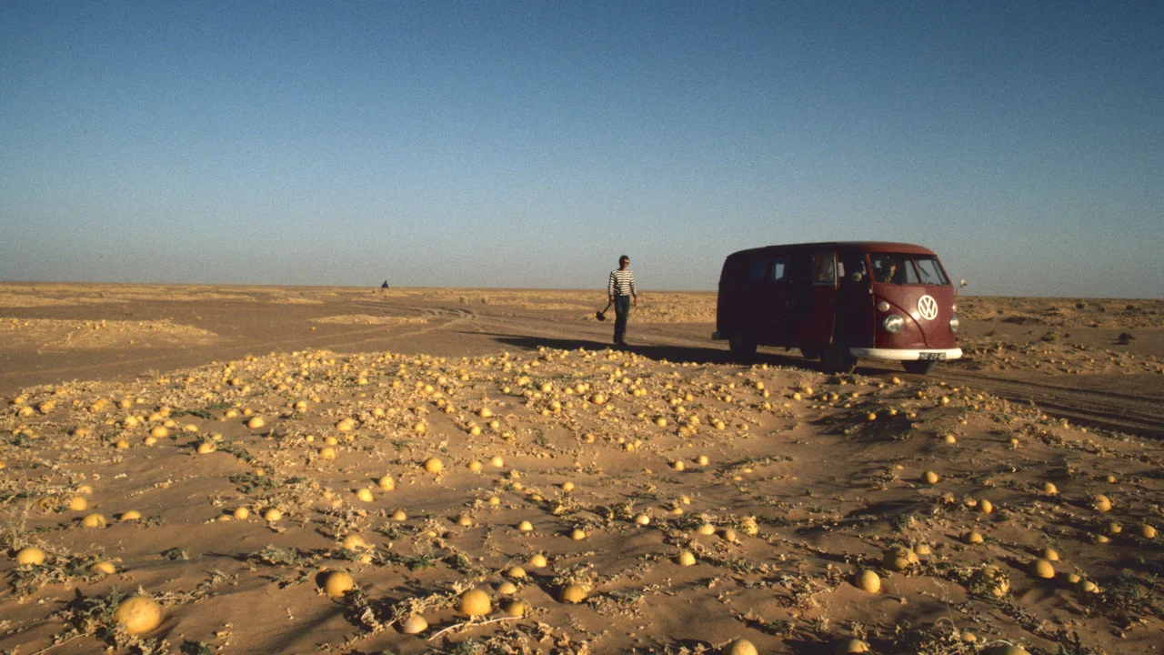 Hitchhiking to the Edge of Sanity - 剧照