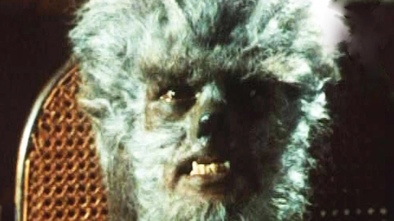 华盛顿狼人 - 剧照