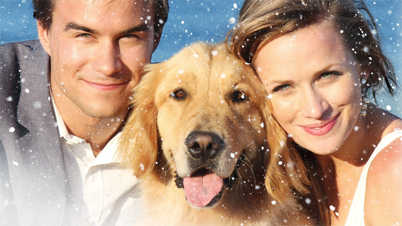 A Golden Christmas 3 - 剧照