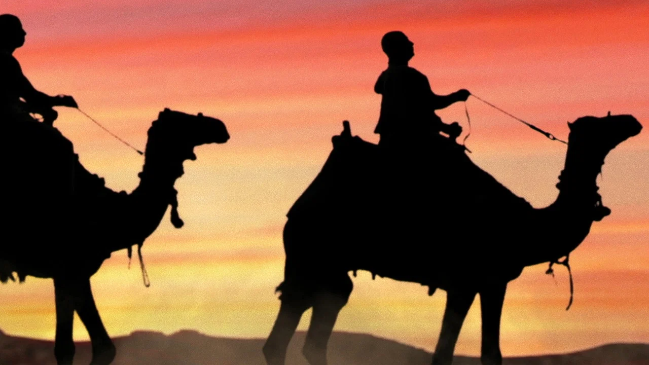 Black Pharaohs: Empire of Gold - 剧照