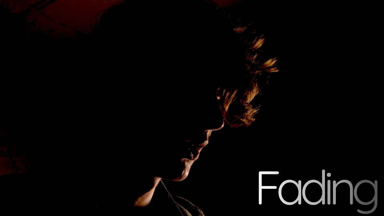 Fading - 剧照