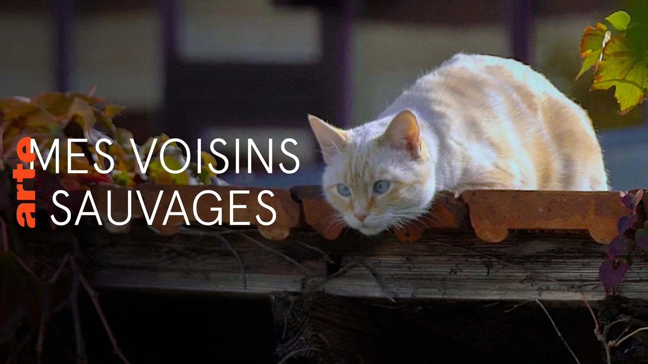 Mes voisins sauvages - 剧照