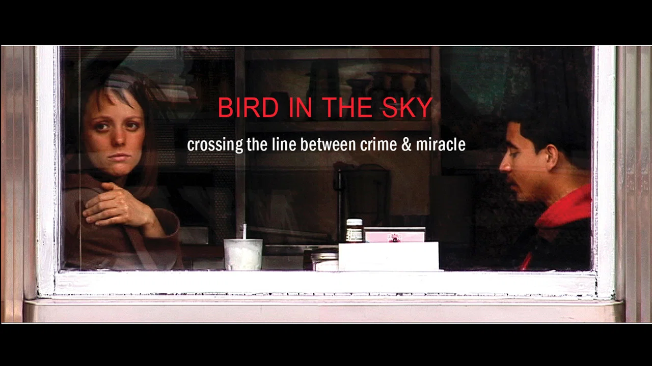 BIRD IN THE SKY - 剧照