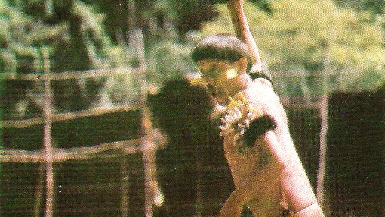 Iniciaci&oacute;n de un sham&aacute;n - 剧照