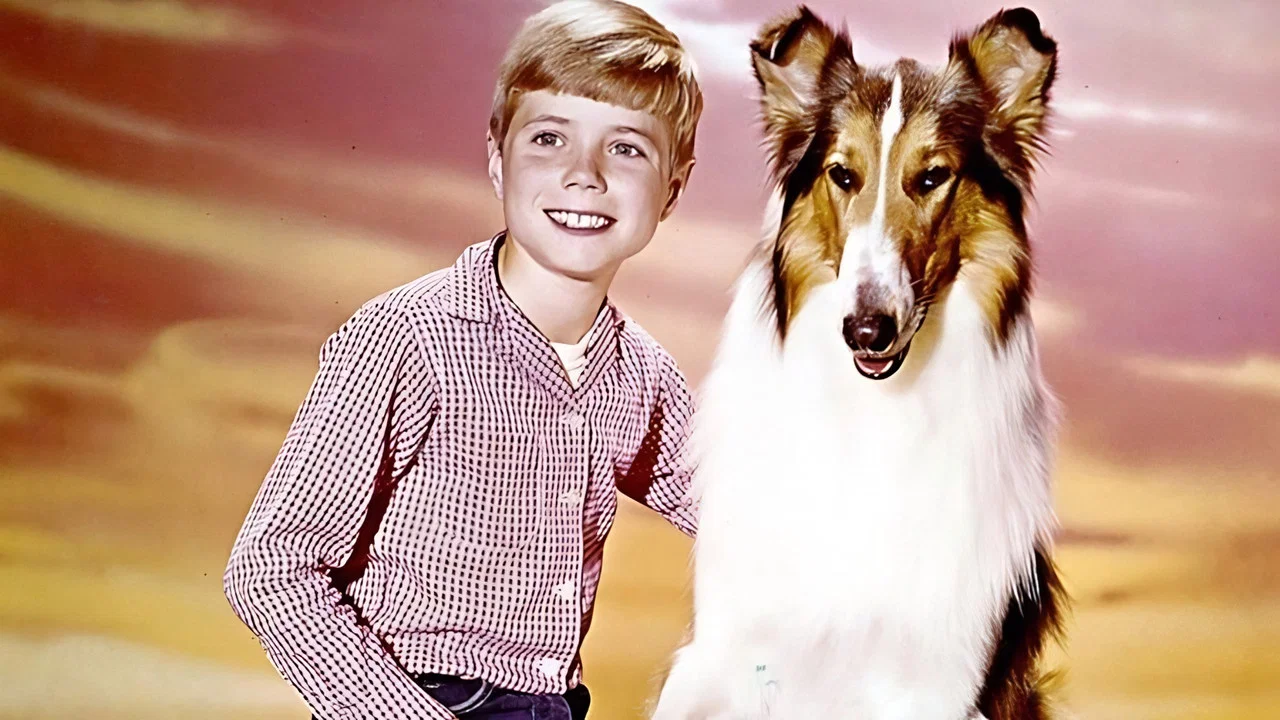 Lassie: The New Beginning - 剧照