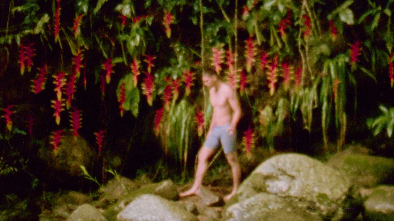 Heliconia - 剧照