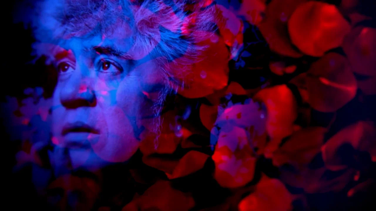 Almod&oacute;var, todo sobre ellas - 剧照