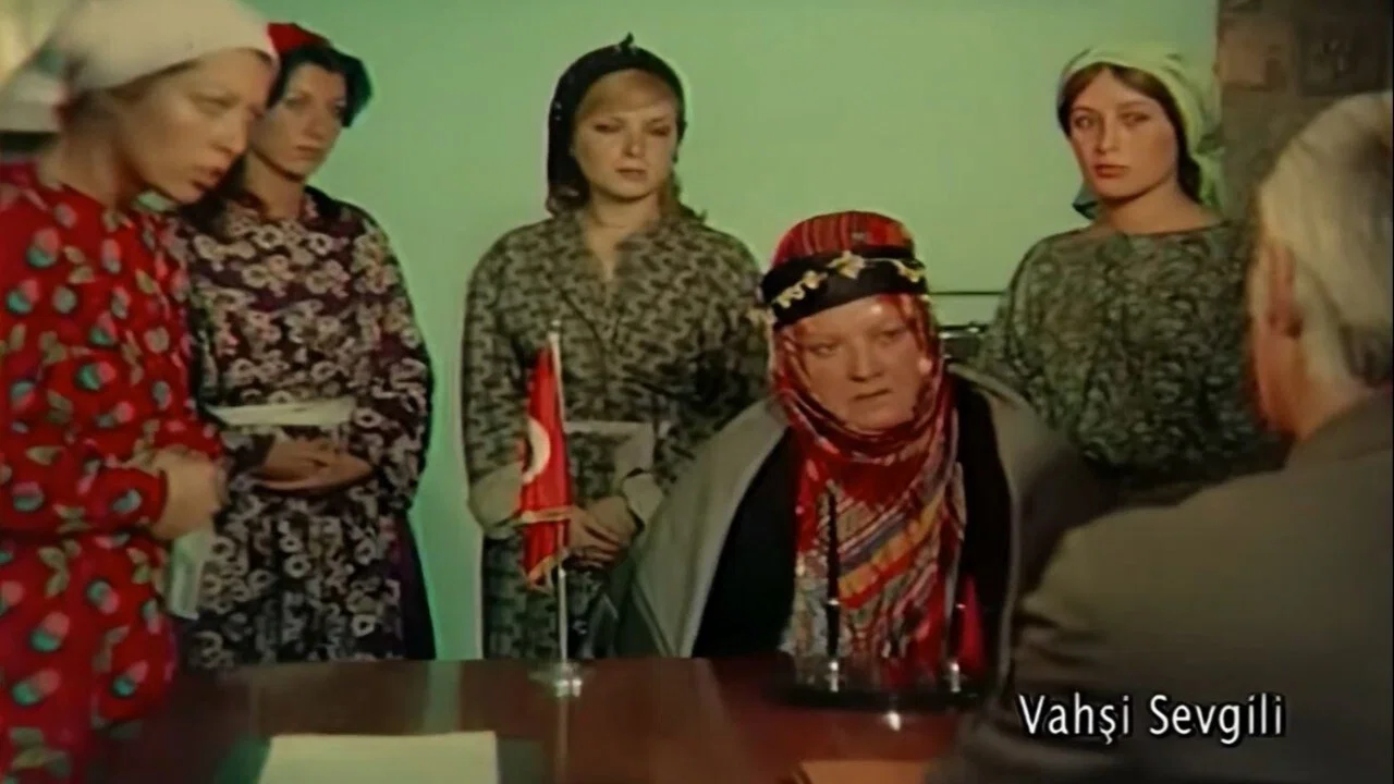 Vahşi Sevgili - 剧照