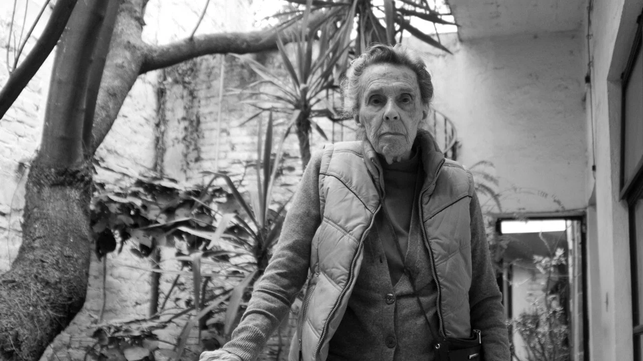 Leonora Carrington: The Lost Surrealist - 剧照