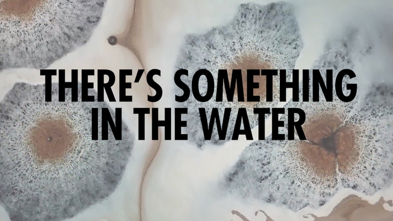 There's Something in the Water - 剧照