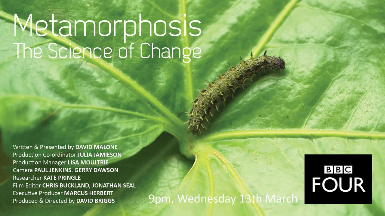 Metamorphosis: The Science of Change - 剧照