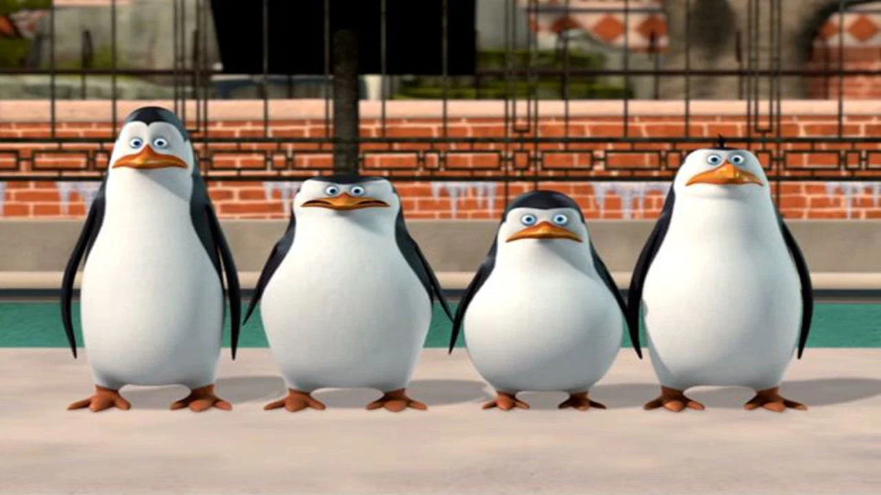 The Penguins of Madagascar: New to the Zoo - 剧照