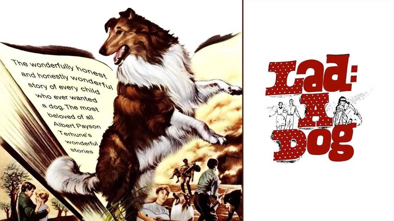 Lad: A Dog - 剧照