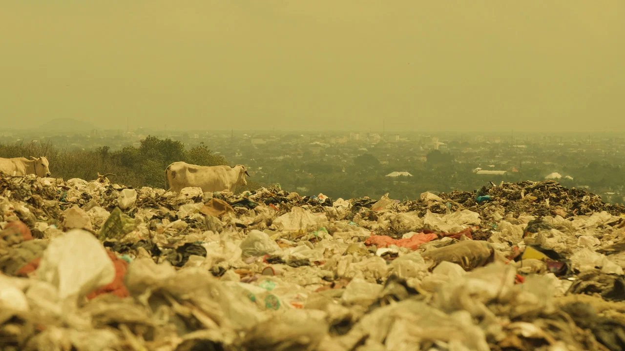 Kiamat Sampah - 剧照