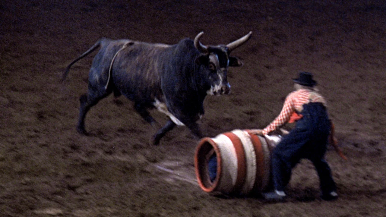 Rodeo - 剧照