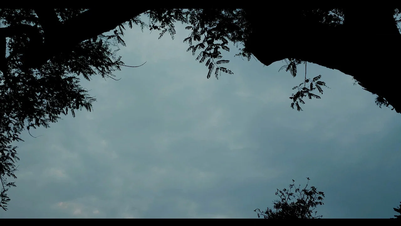 Al&eacute;m do Tempo - 剧照