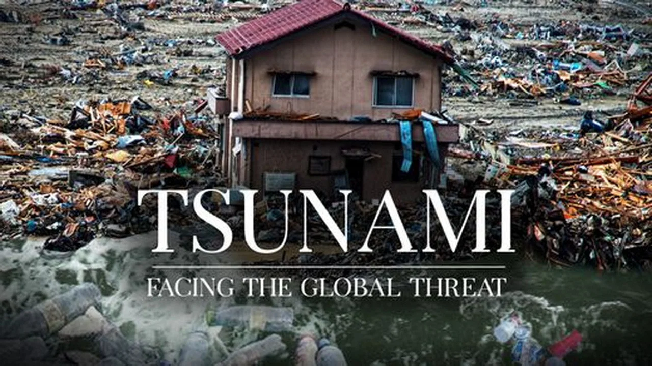 Tsunamis, une menace plan&eacute;taire - 剧照