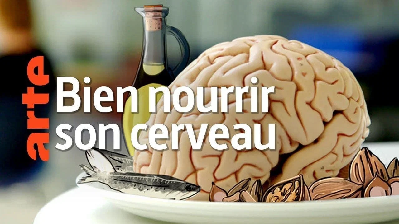 Bien nourrir son cerveau - 剧照