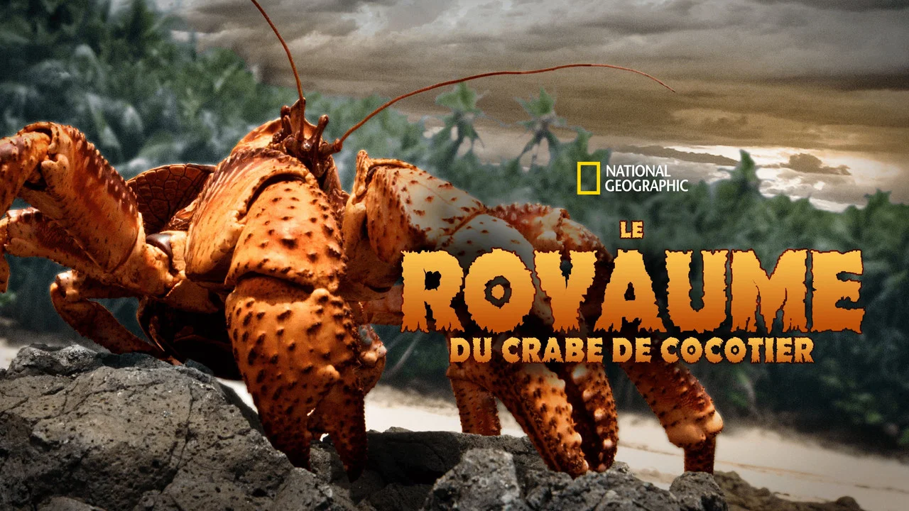 The Giant Robber Crab - 剧照
