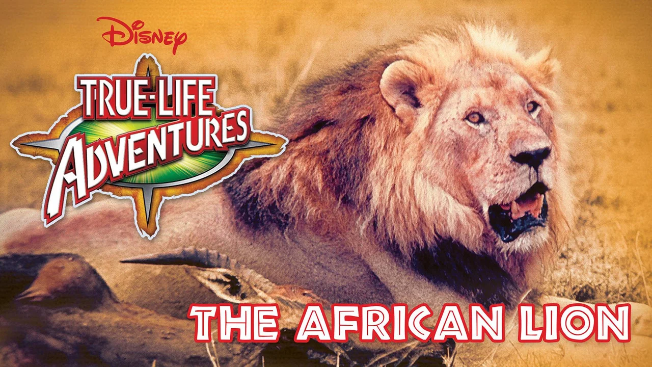 The African Lion - 剧照