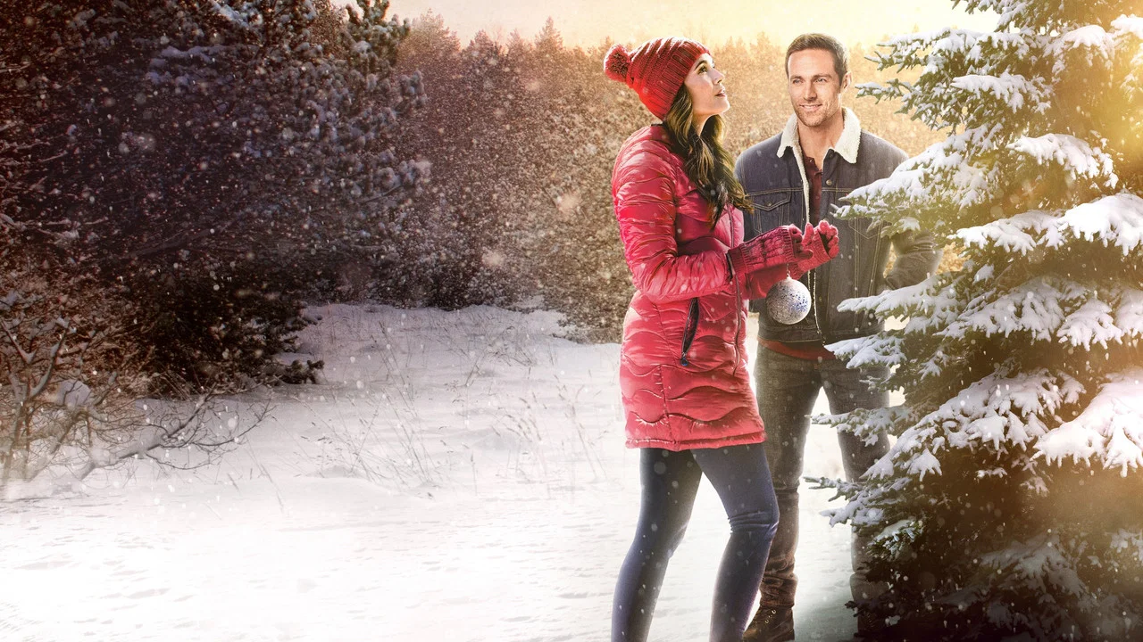 The Christmas Promise - 剧照
