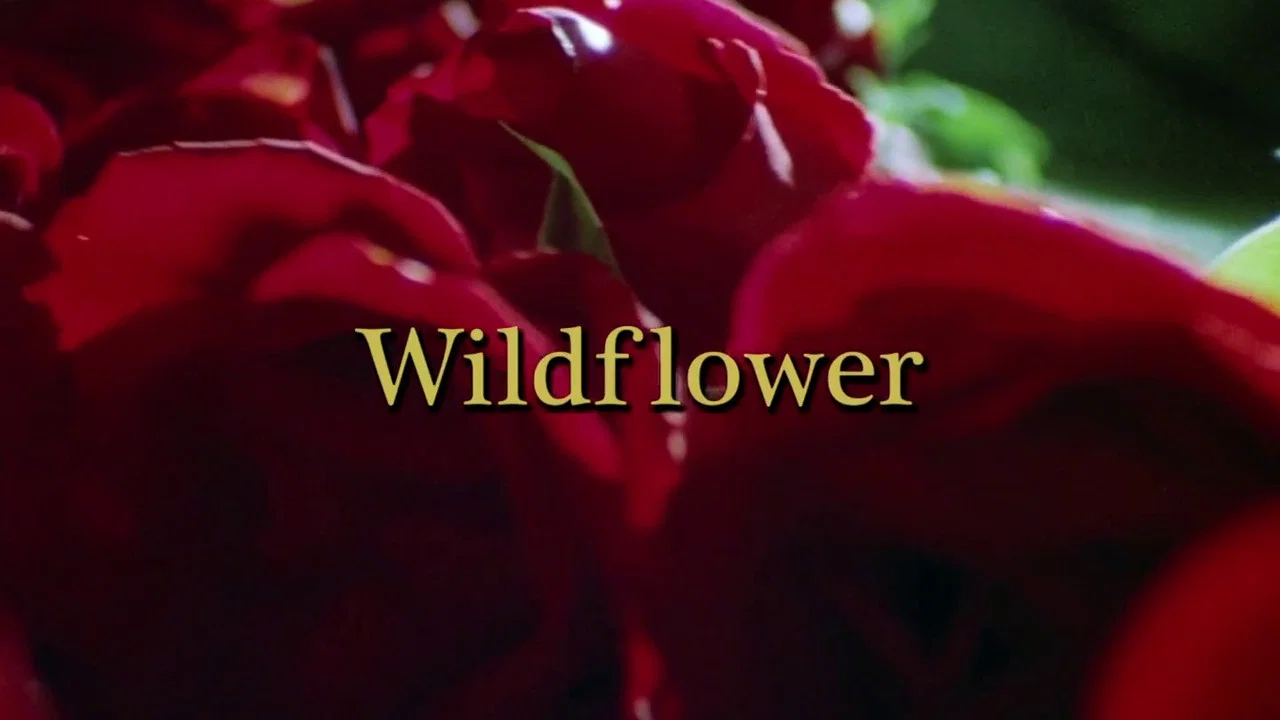 Wildflower - 剧照