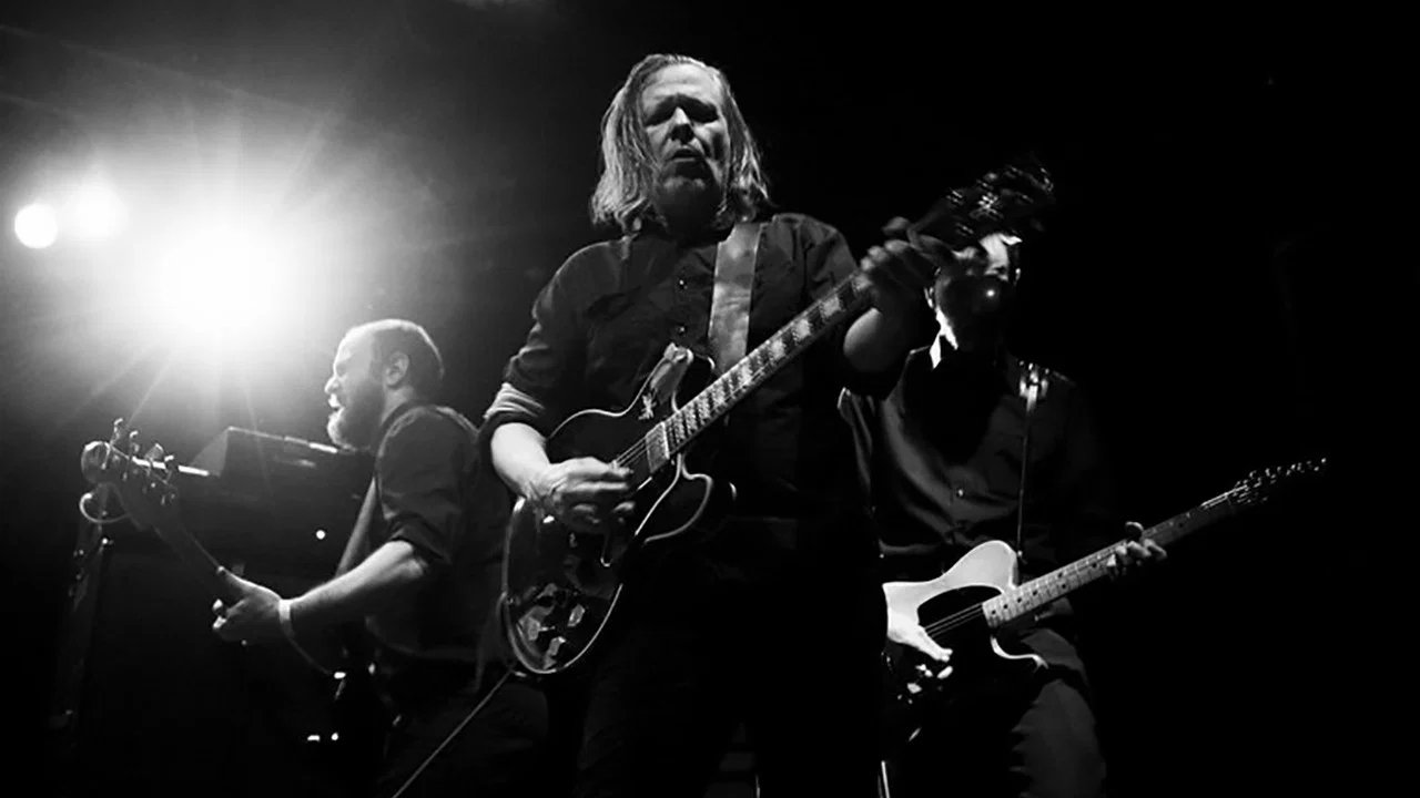 Swans - To Be Kind Live - 剧照