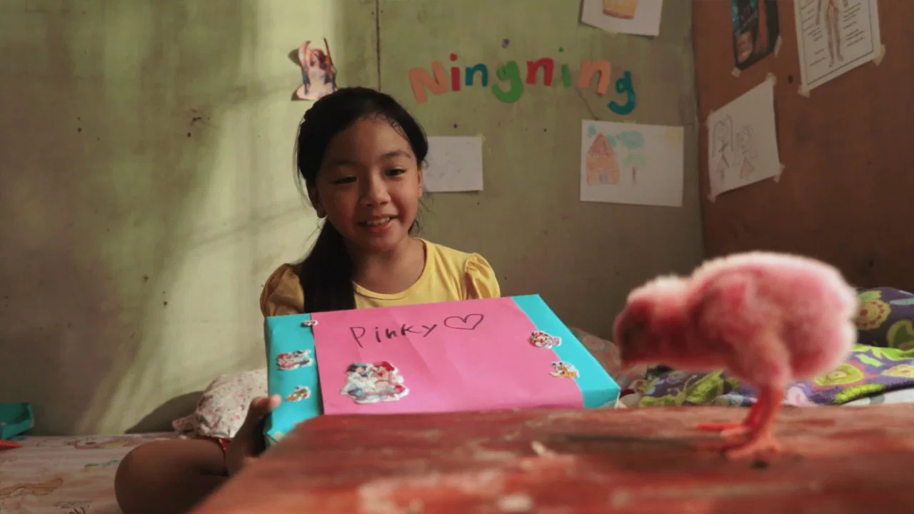 Ang Pink na Sisiw ni Ningning - 剧照