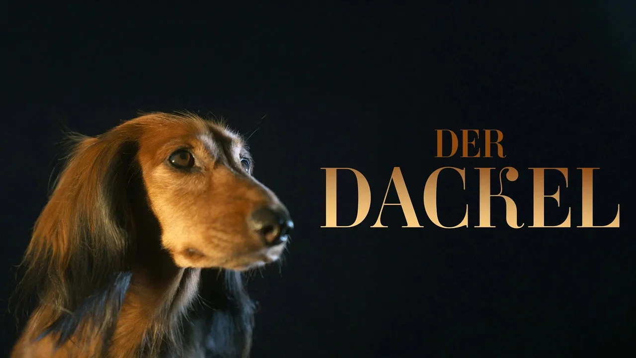 Der Dackel - 剧照