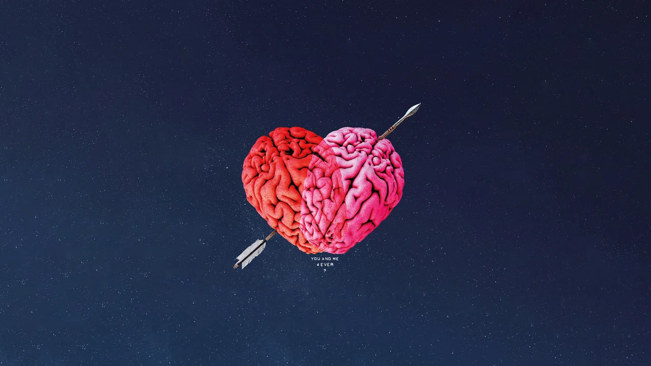爱的透视图 - 剧照