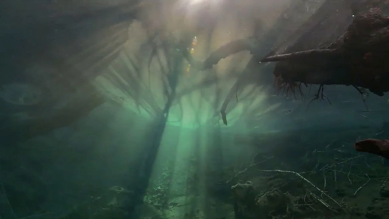 Un fleuve invisible - 剧照