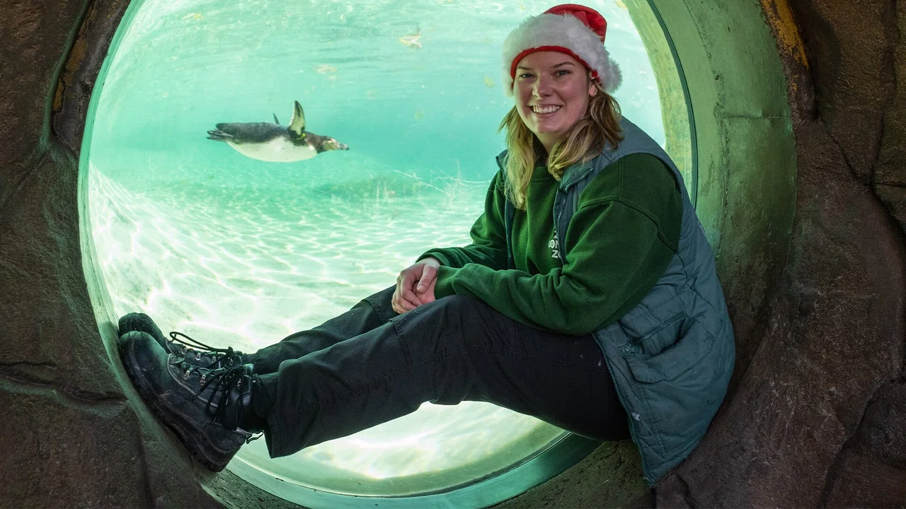 London Zoo at Christmas - 剧照