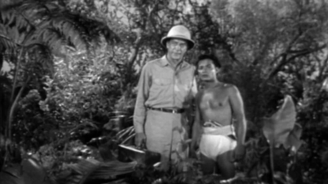 Jungle Hell - 剧照