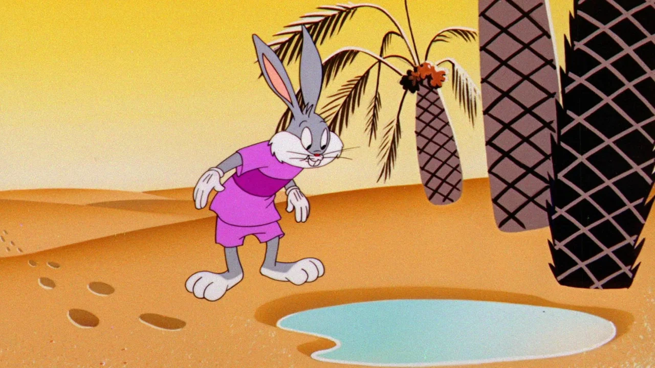 Sahara Hare - 剧照
