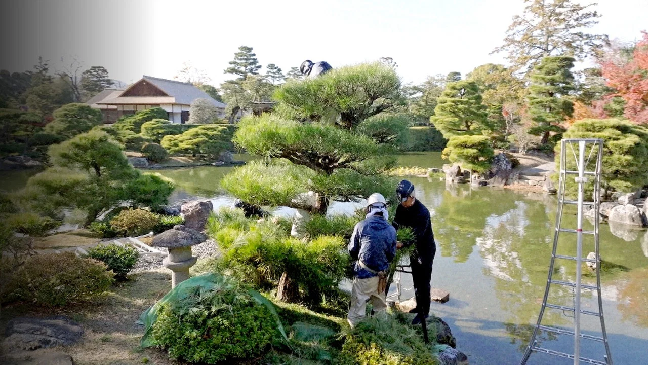 Chasing Perfection: Four Seasons with Japan's Master Gardeners - 剧照