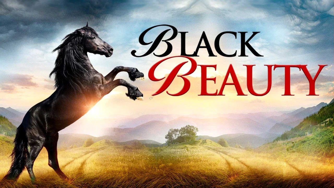 Black Beauty - 剧照