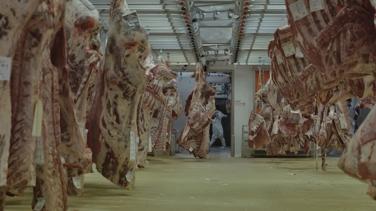 The Blood Quarter - 剧照
